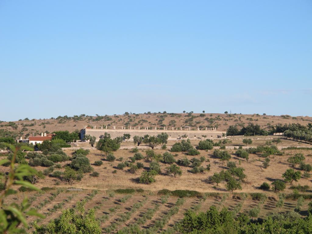 Lama Di Luna Biomasseria Villa Montegrosso Buitenkant foto